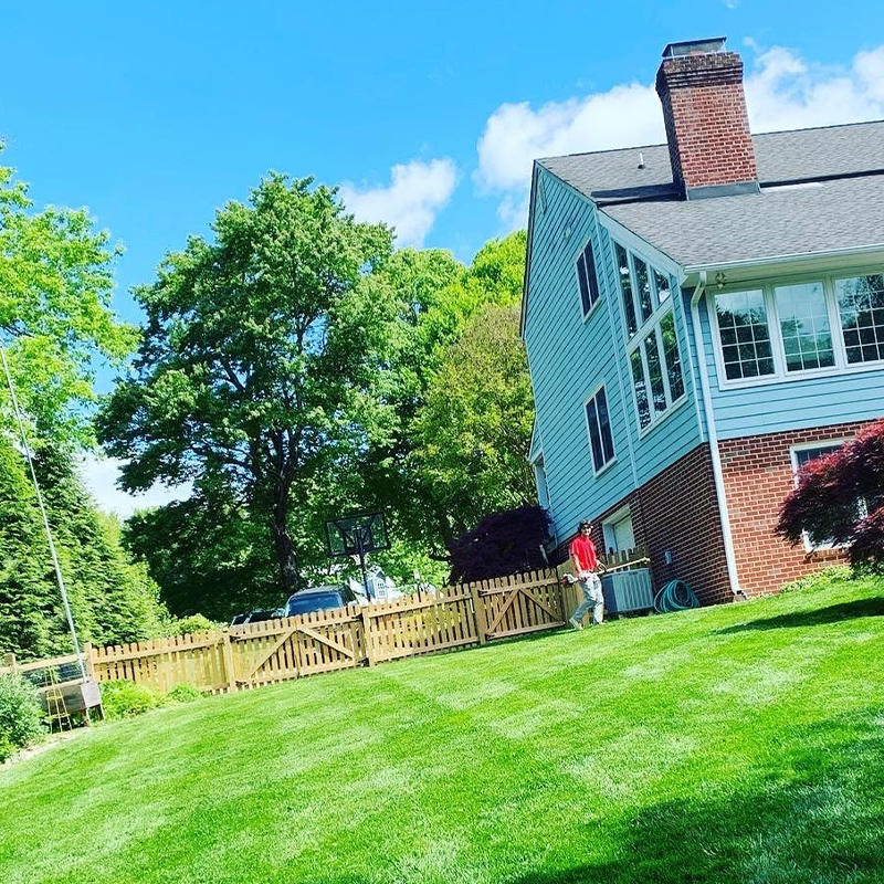 Residential Lawn Care Lawn Care Service