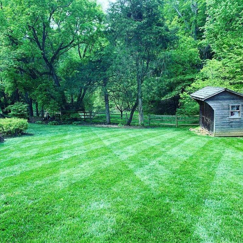 Commercial Mowing Lawn Care Mowing Lawn Care