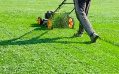 How to Prep Your Yard for Fall Aeration
