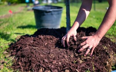 Why Spring Mulching Makes a Difference