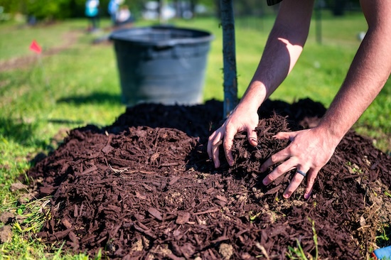 Why Spring Mulching Makes a Difference