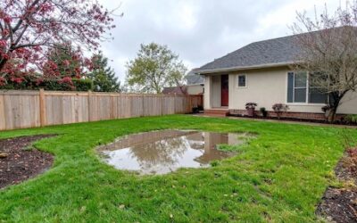 Improving Yard Drainage Before Summer Storms in Central Virginia